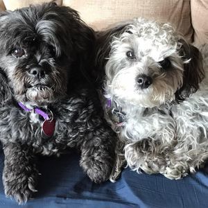 Meet your Posher, Connie